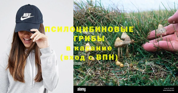 таблы Богородск