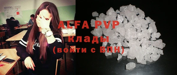 СК Богородицк