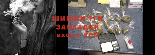 ешки Богданович