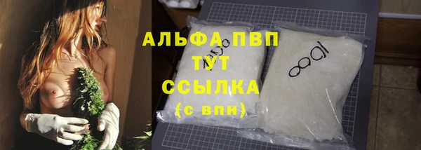 СК Богородицк