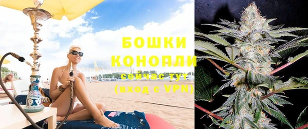 ешки Богданович