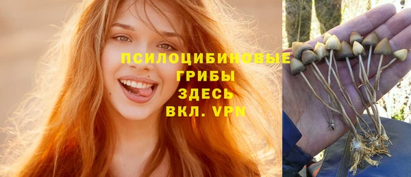 ешки Богданович