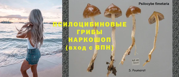 таблы Богородск